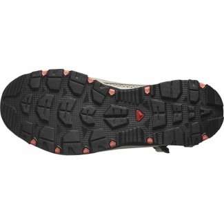 Zapatillas de Running para Adultos Salomon Techamphibian 5 Marrón claro