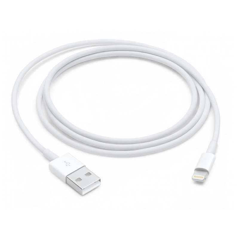 Apple Câble de chargement Lightning 1m iPad-/iPhone-/iPod MD818ZM/A Détail