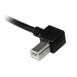 Cable USB A a USB B Startech USBAB1ML             Negro