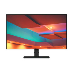 Lenovo ThinkVision P27q   (27)  2560x1440 *Input* 61EAGAT6EU