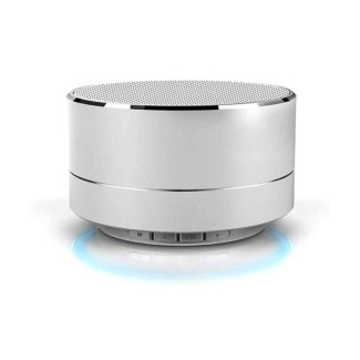 Reekin Marlin Haut-parleur Bluetooth avec kit main-libre (Silver)