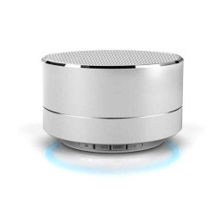 Reekin Marlin Haut-parleur Bluetooth avec kit main-libre (Silver)