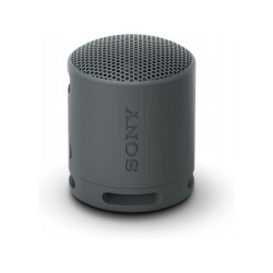 Sony Enceinte portable sans fil Noir BT SRSXB100B.CE7