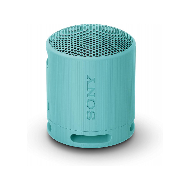 Sony Enceinte portable sans fil Bleu SRSXB100L.CE7