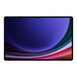 Samsung SM-X910N Galaxy Tab S9 Ultra 12+256GB WIFI - SM-X910NZAAEUB