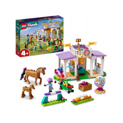 LEGO Friends - Le dressage équestre (41746)