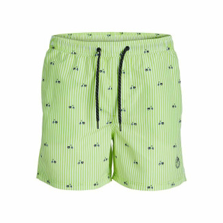 Maillot de bain homme PSTFIJI JJSWIM MINI STRIPE LY  Jack & Jones 12227350 Vert