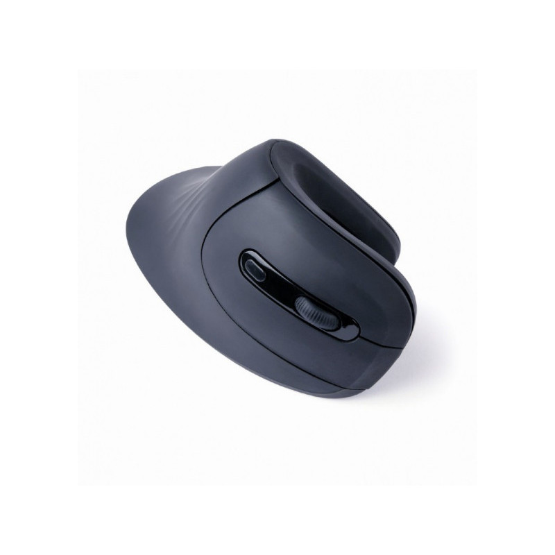 Gembird Souris optique ergonomique - MUSW-ERGO-03 Gembird Souris optique ergonomique - MUSW-ERGO-03