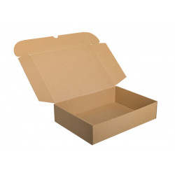 Carton DIN A4 34.6 x 24.7 x 8.0cm