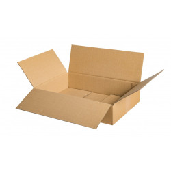 Carton 35 x 25 x 8cm (env. 6 litres)