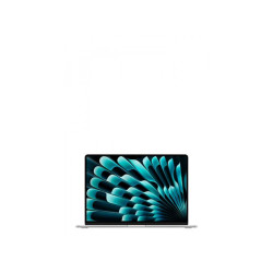 Apple MacBook Air M3 Chip 13 16GB/512GB QWERTZ Silver MXCT3D/A