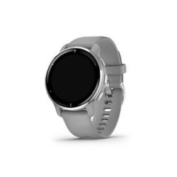 Garmin Venu 2 Plus light grey 010-02496-10