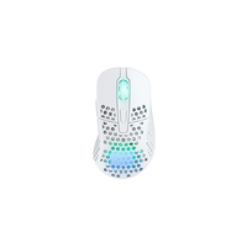 Cherry Xtryfy M4 wireless RGB Gaming Mouse white (M4W-RGB-WHITE)