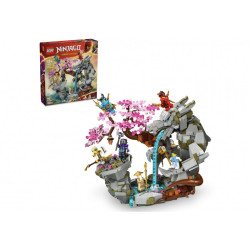 LEGO Ninjago - Le sanctuaire de la roche du dragon (71819)
