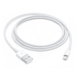 Apple Lightning charging cable 1m (MD818ZM/A)