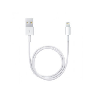 APPLE câble Lightning vers USB 0.5m ME291ZM/A