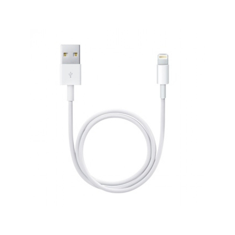 APPLE câble Lightning vers USB 0.5m ME291ZM/A