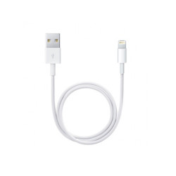 APPLE câble Lightning vers USB 0.5m ME291ZM/A