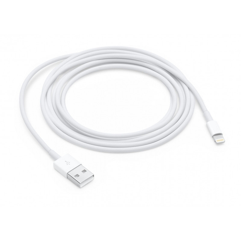 Apple Lightning auf USB Kabel 2m (MD819ZM/A)