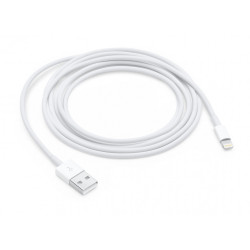 Apple Lightning auf USB Kabel 2m (MD819ZM/A)