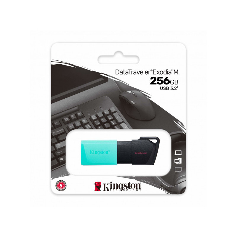 Kingston DataTraveler Exodia M 256 GB USB 3.2 Gen 1 DTXM/256GB