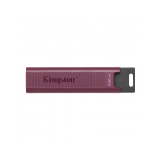 Kingston DataTraveler Max 256 GB USB Flash DTMAXA/256GB