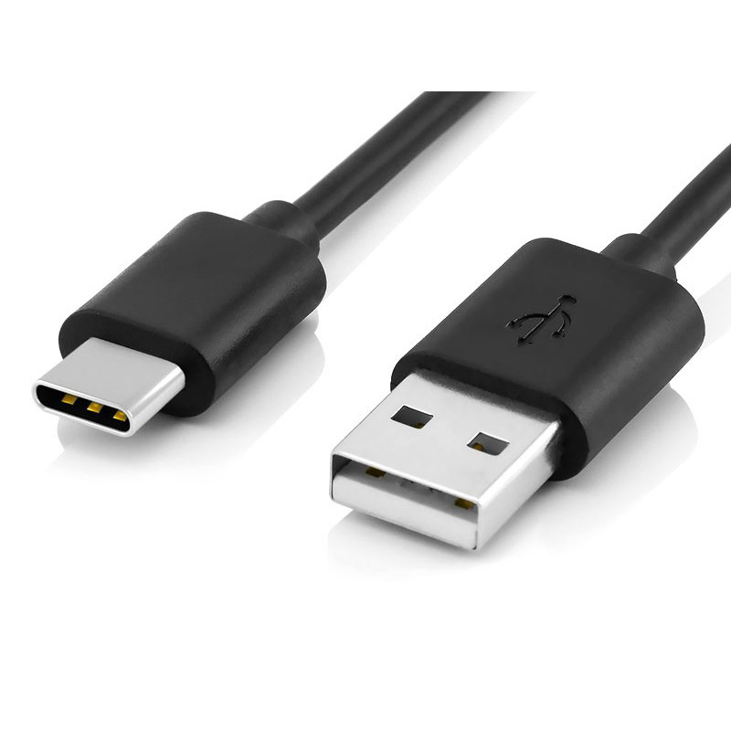 Reekin Câble de charge USB 2.0 USB-C pour Nintendo Switch 2m (Noir)