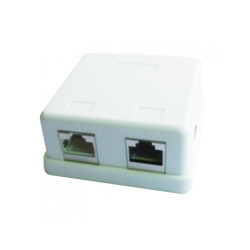 CableXpert Prise de connexion LAN 2 ports sur plâtre NCAC-HS-SMB2