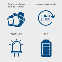 Batterie au lithium rechargeable Scheppach SPB2.0