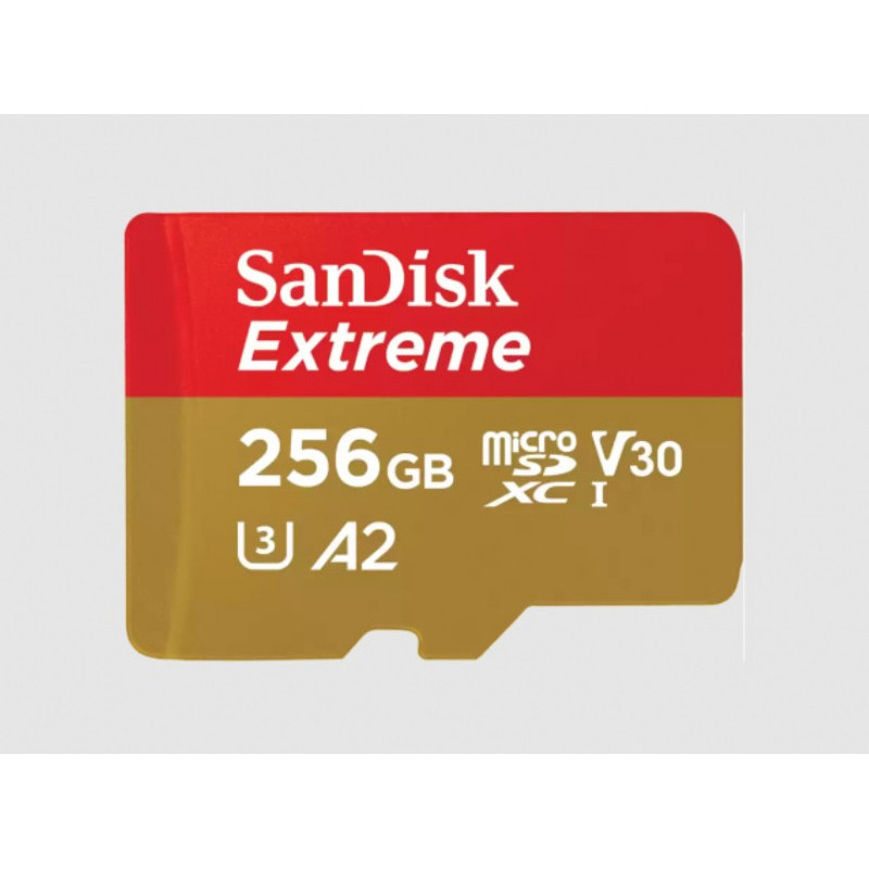 SanDisk MicroSDXC Extreme 256GB - SDSQXAV-256G-GN6MA 